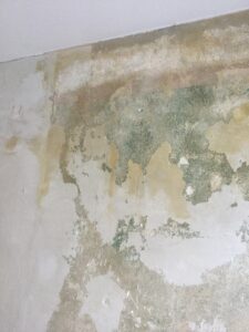Wasserschaden Zimmer